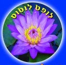 לופט לוטוס